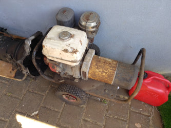 The Worlds best Nirvana fan - Pugz Wallmout